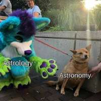 768x768