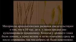 1366x768