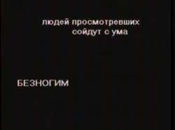 1446x1080