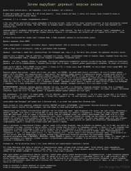 2594x3368